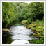 self catering Yorkshire Dales